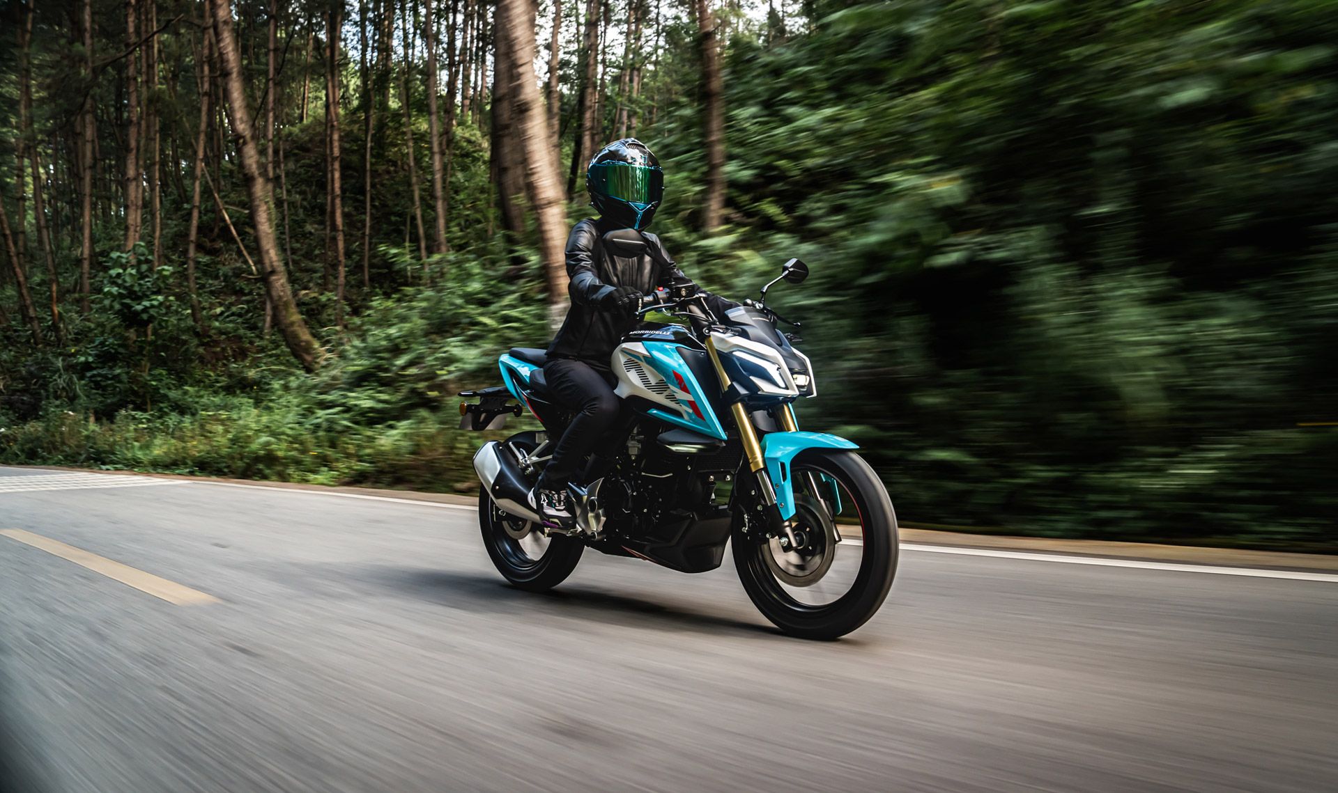 NZ 250 - imagen destacada